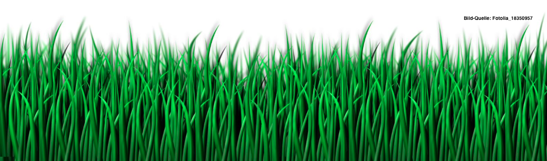 Ist das Gras auf der anderen Seite des Zauns wirklich grüner? Die Antwort ist nicht entscheidend. Sondern die Annahme kann schon kaufverhindernd sein.